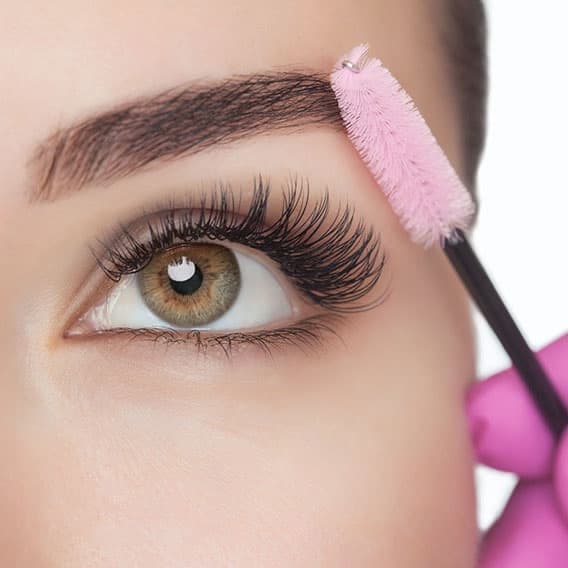 Lash & Brows at Silkflower Studio in Malden, MA